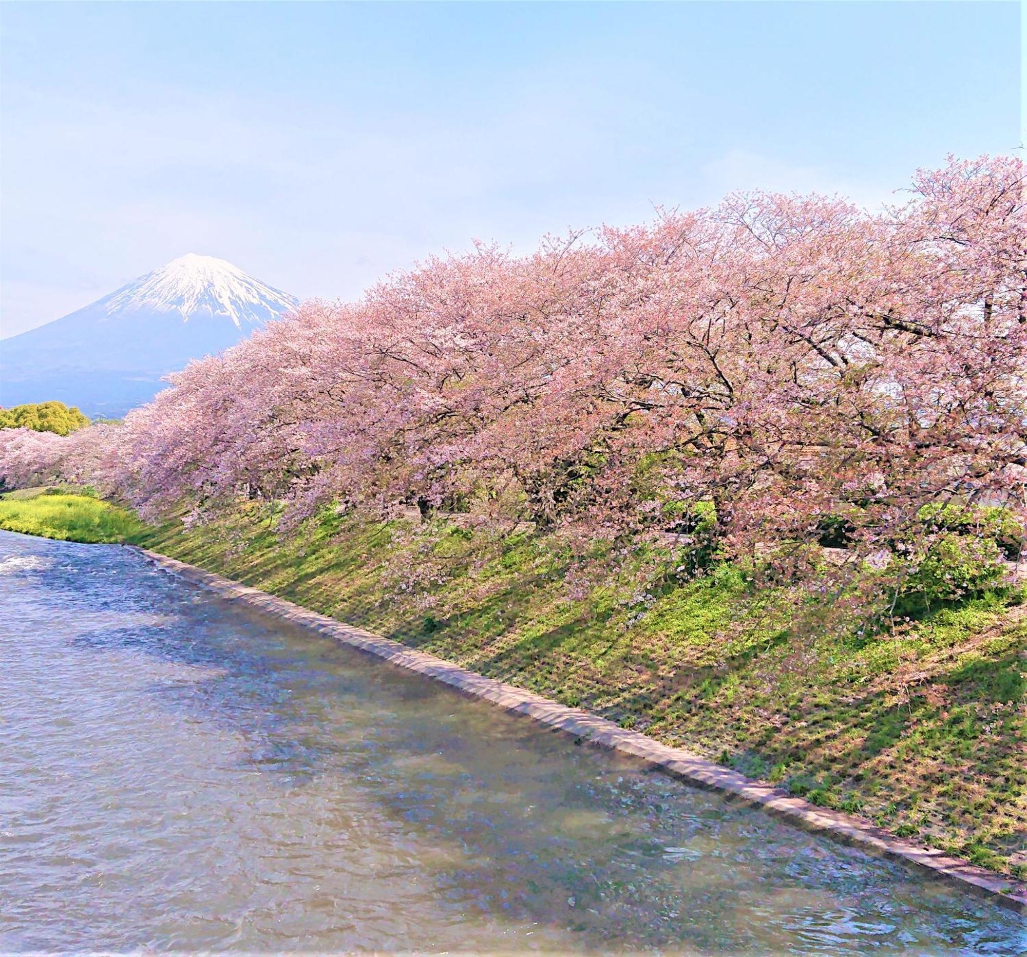 Hotel Associa Shizuoka Eksteriør bilde The river in spring
